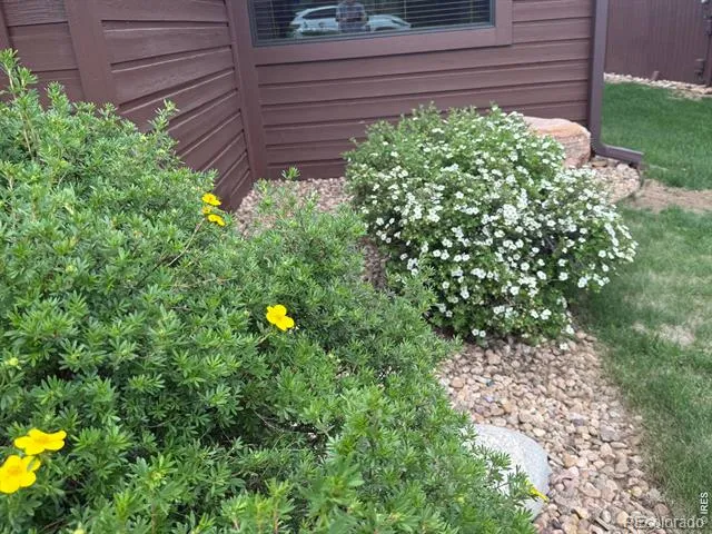 1449 Matthew Circle Estes Park, CO 80517