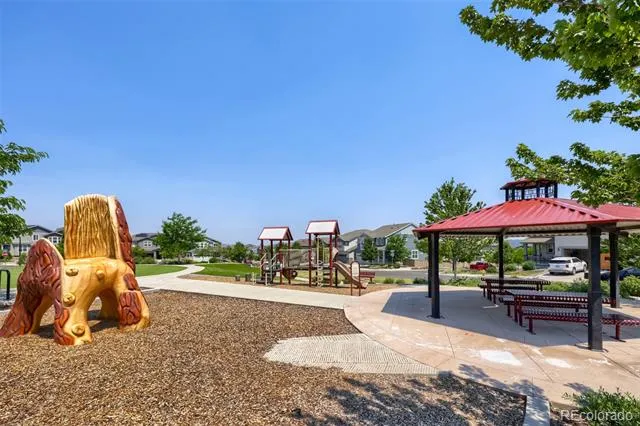 3260 Jonquil Street Castle Rock, CO 80109