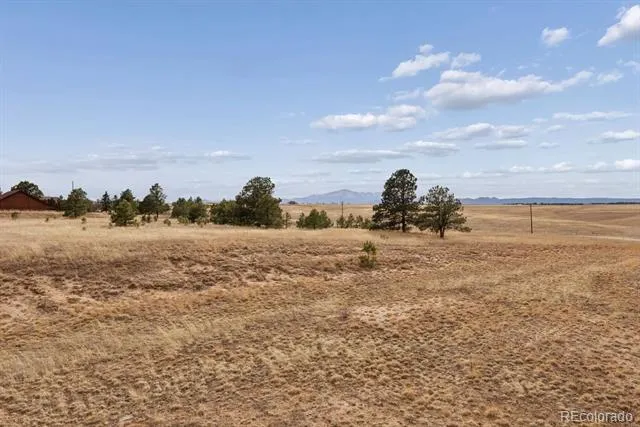 6905 Alpaca Heights Colorado Springs, CO 80908
