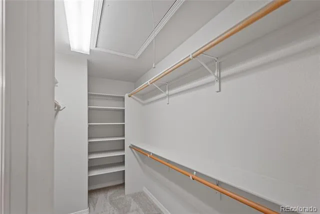 6175 Daylight Point Colorado Springs, CO 80923