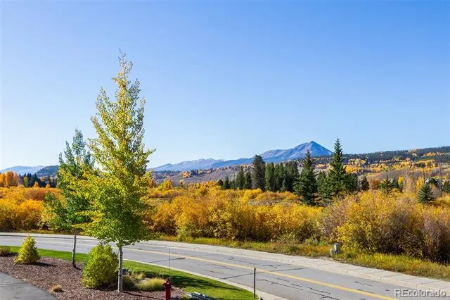 405 Bald Eagle Road Silverthorne, CO 80498