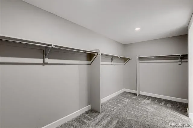 357 Silver Rock Trail Castle Rock, CO 80104