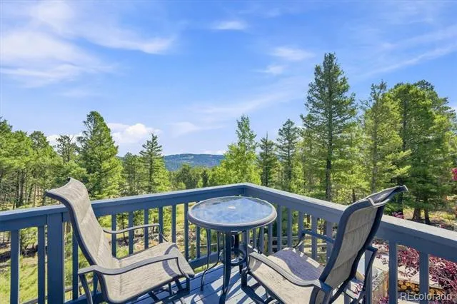 13272 Riley Peak Road Conifer, CO 80433