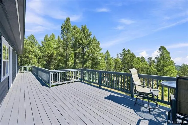13272 Riley Peak Road Conifer, CO 80433