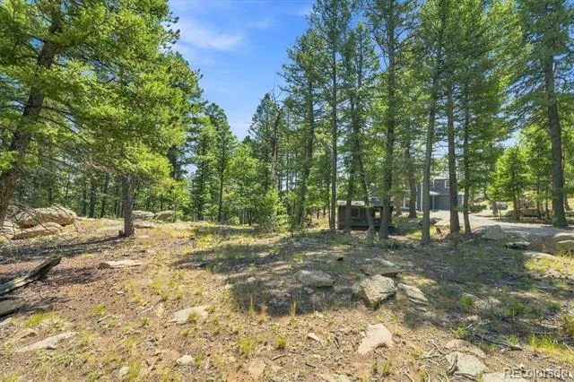 13272 Riley Peak Road Conifer, CO 80433
