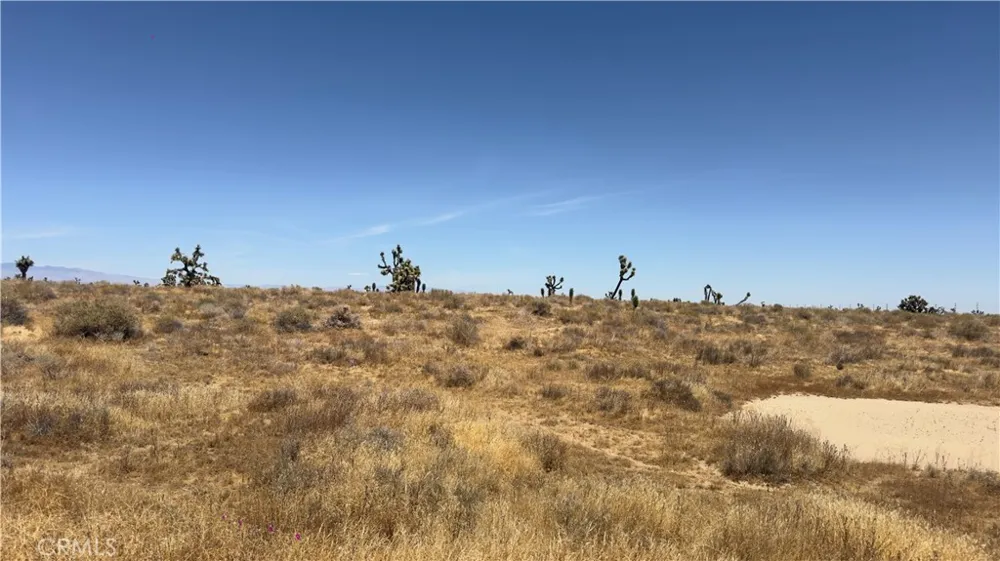1510 E Avenue M Palmdale, CA 93550
