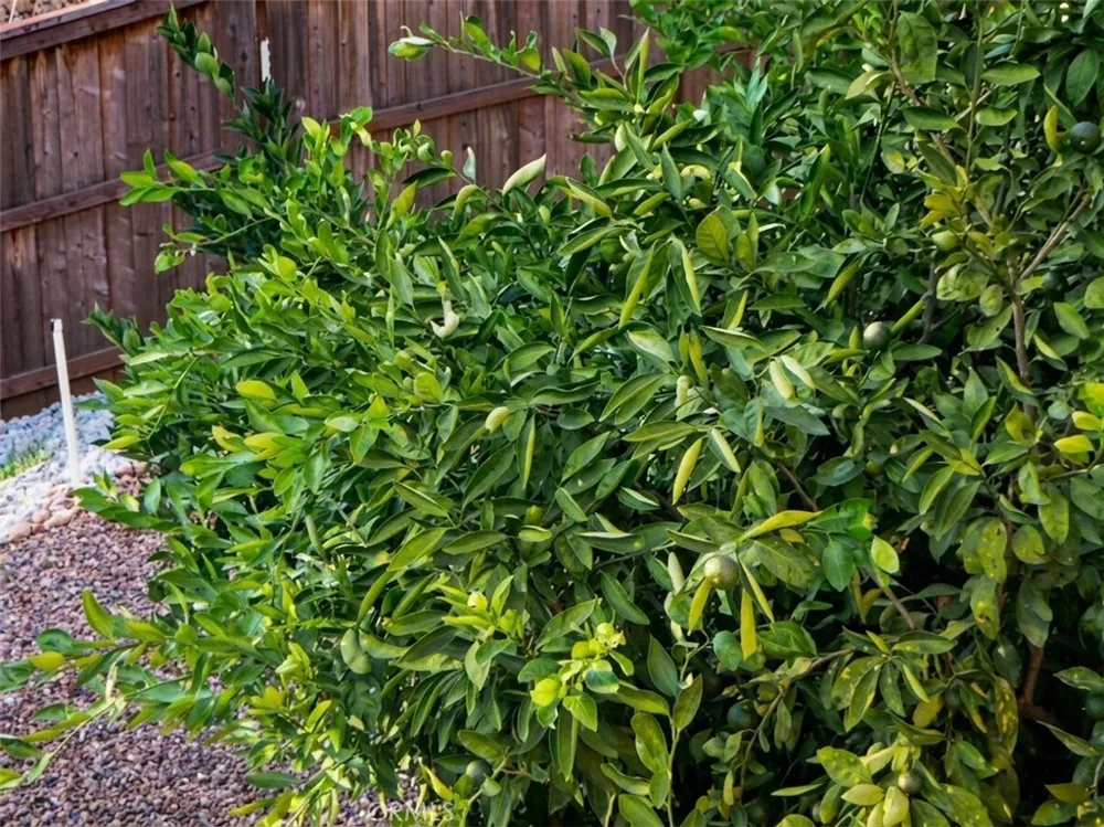 4463 Casa Sierra Vista Paradise, CA 95969