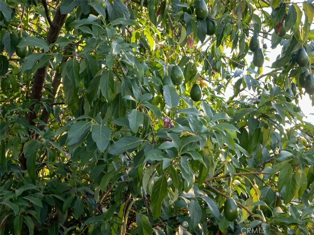 4463 Casa Sierra Vista Paradise, CA 95969