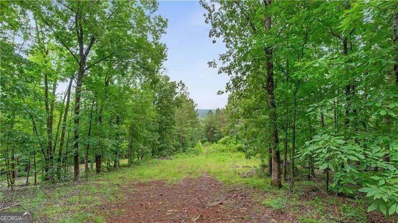 1845 Tibbitts RD Dallas, GA 30132