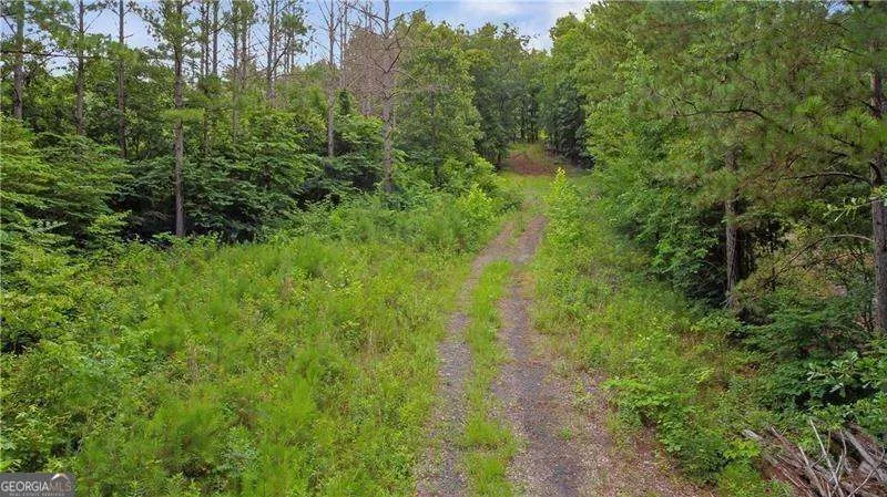 1845 Tibbitts RD Dallas, GA 30132