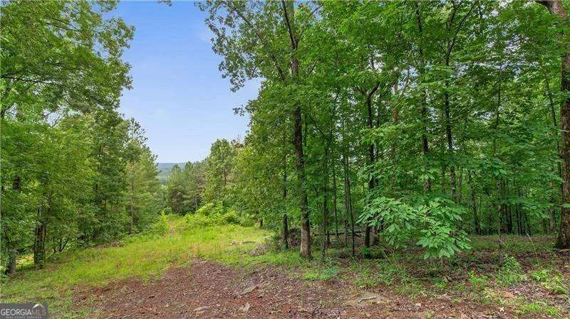 1845 Tibbitts RD Dallas, GA 30132