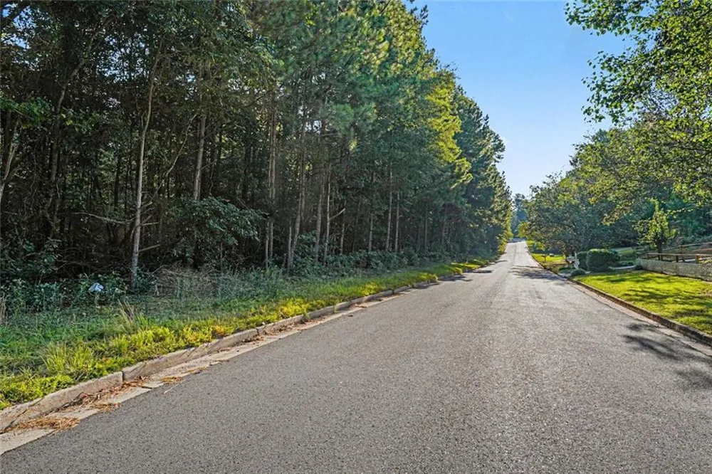 0 Locust Road Locust Grove, GA 30248