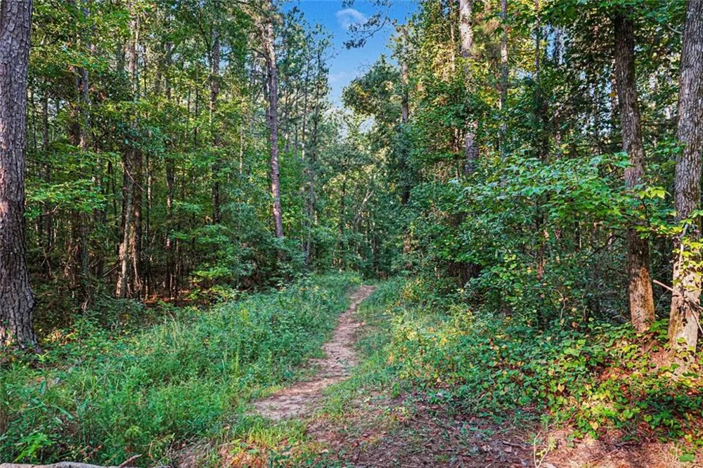 0 Locust Road Locust Grove, GA 30248
