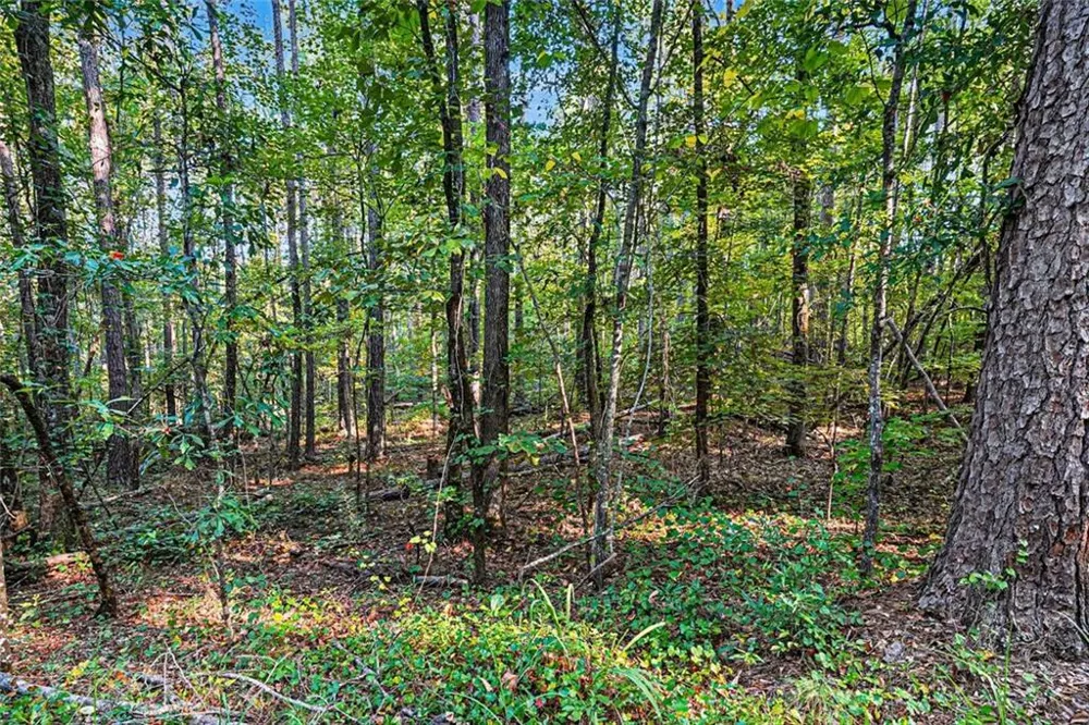 0 Locust Road Locust Grove, GA 30248