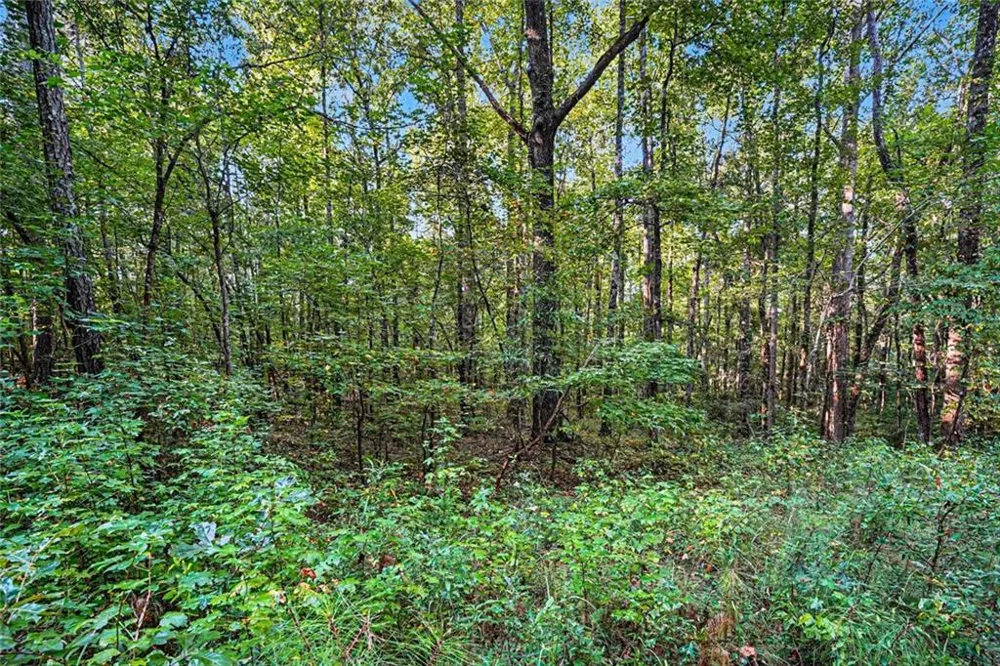 0 Locust Road Locust Grove, GA 30248