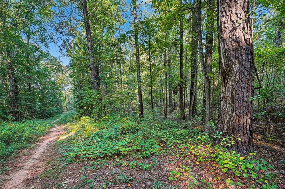 0 Locust Road Locust Grove, GA 30248