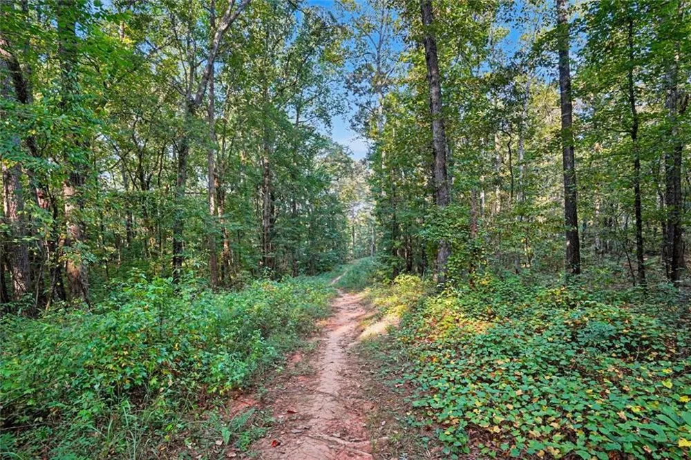0 Locust Road Locust Grove, GA 30248