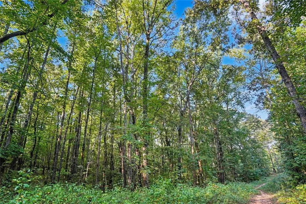 0 Locust Road Locust Grove, GA 30248