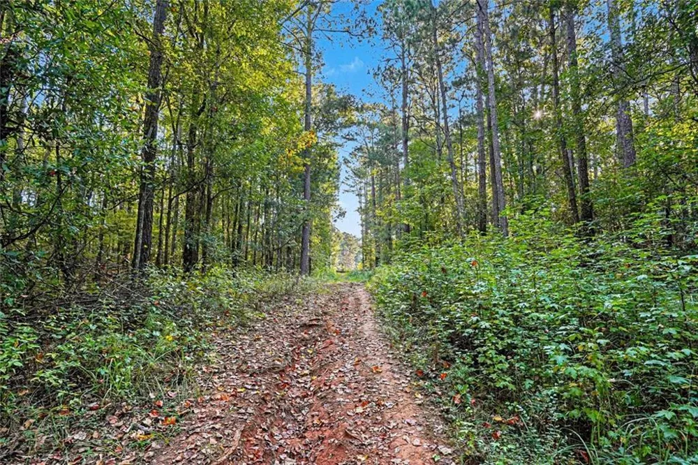 0 Locust Road Locust Grove, GA 30248