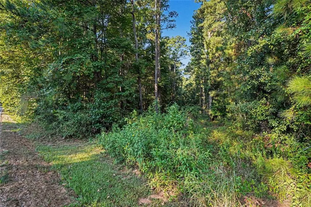 0 Locust Road Locust Grove, GA 30248