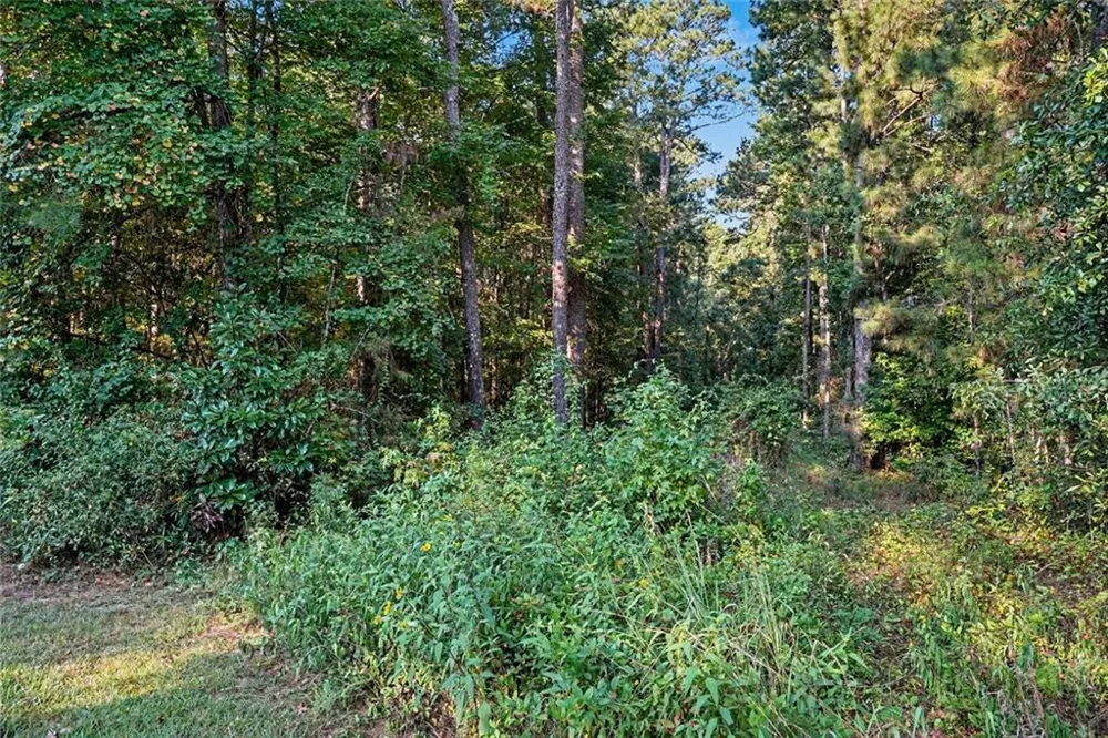 0 Locust Road Locust Grove, GA 30248