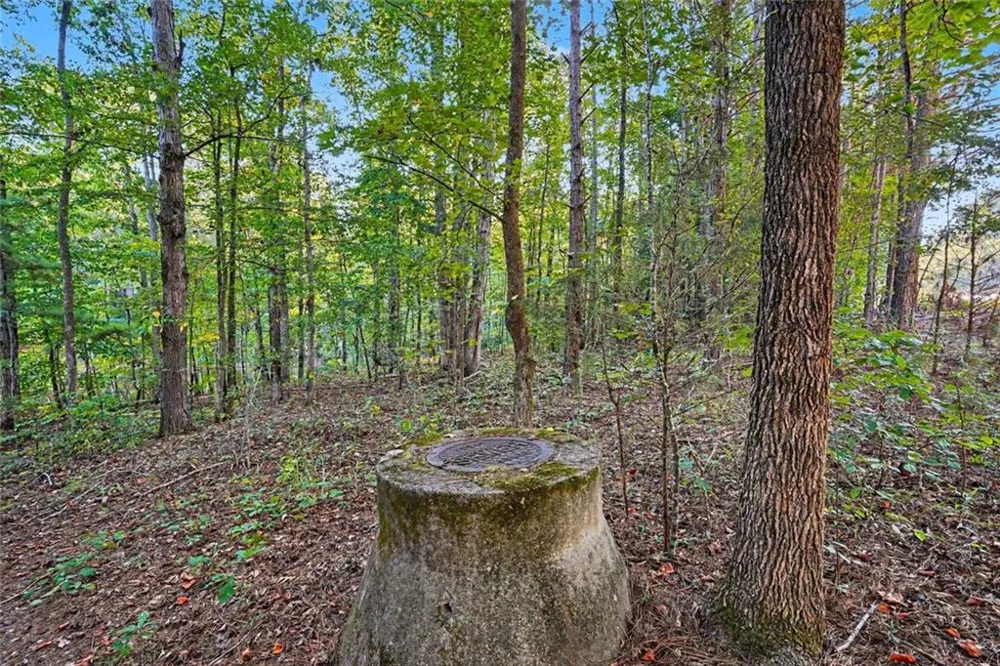 0 Locust Road Locust Grove, GA 30248