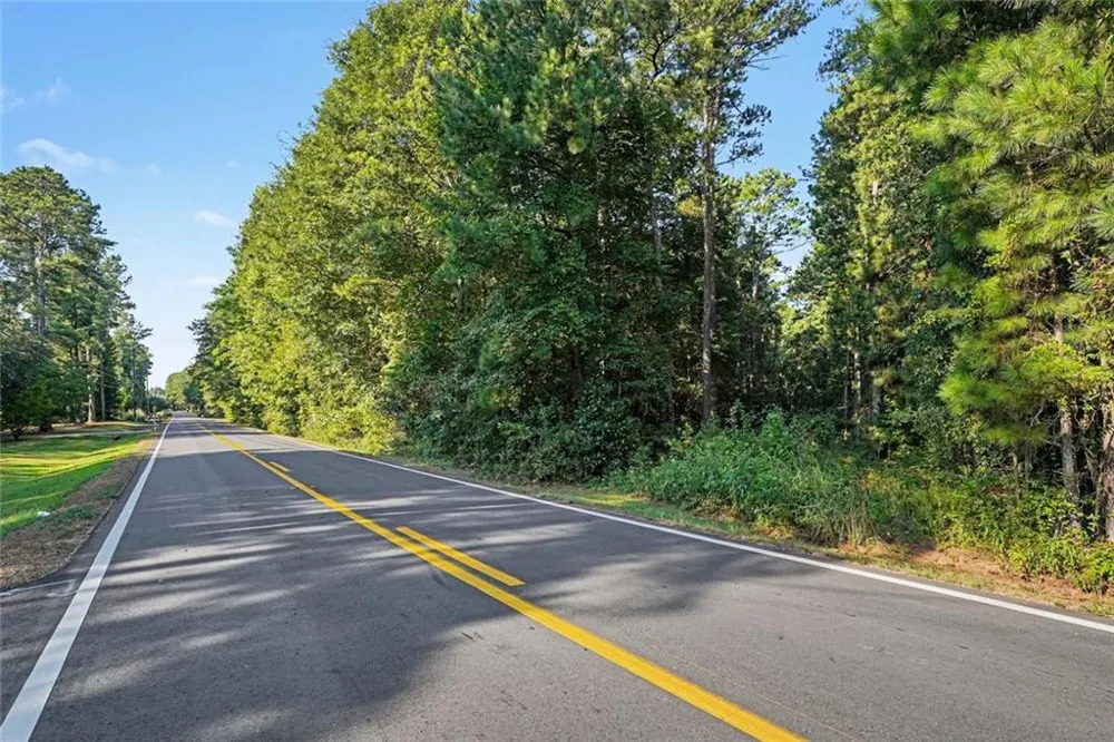 0 Locust Road Locust Grove, GA 30248