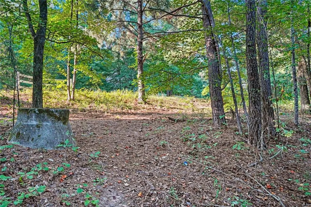 0 Locust Road Locust Grove, GA 30248