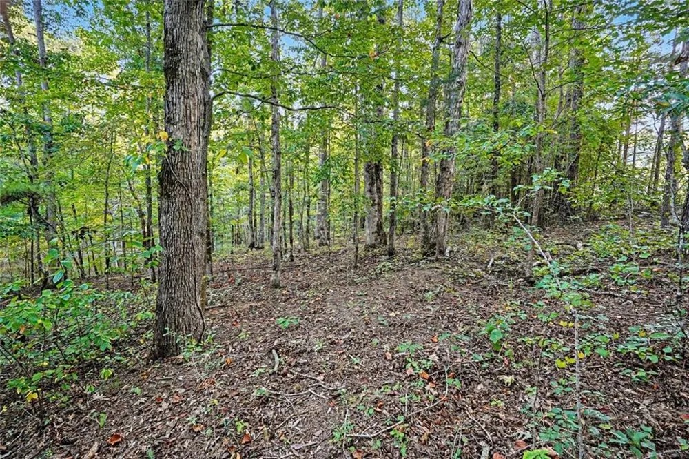 0 Locust Road Locust Grove, GA 30248
