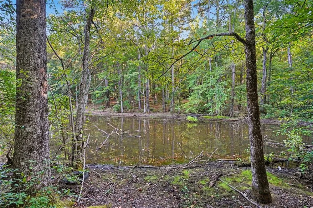 0 Locust Road Locust Grove, GA 30248
