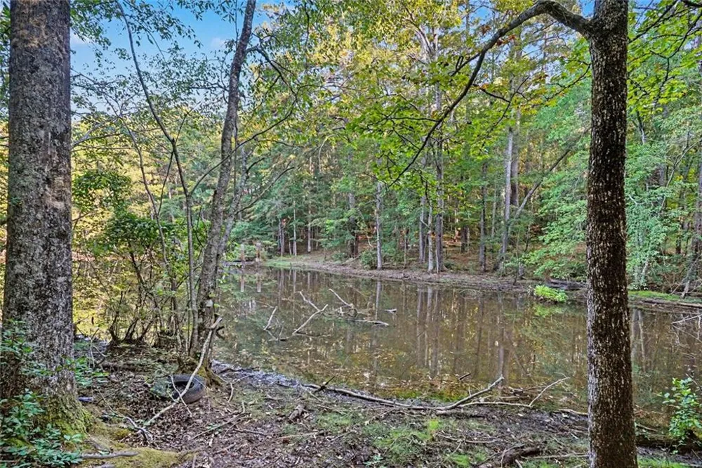 0 Locust Road Locust Grove, GA 30248