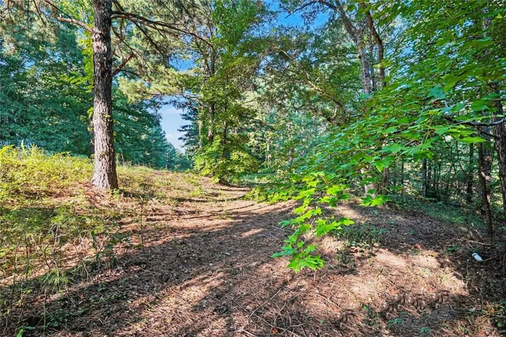 0 Locust Road Locust Grove, GA 30248