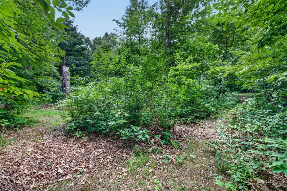 9455 E Lane Drive Grant Township, MI 49437