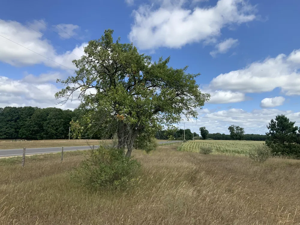 4984 State Road Ellsworth Township, MI 49656