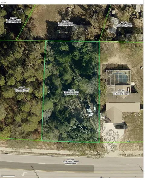 13341 SPRING HILL DRIVE