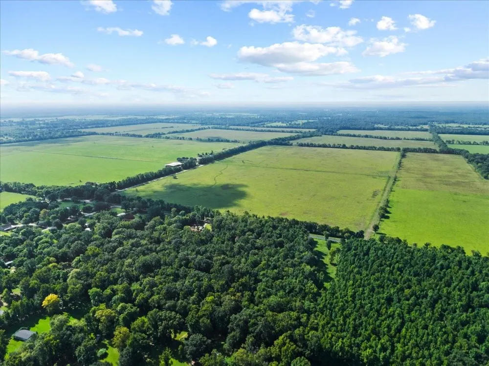 County Road 2068 Liberty, TX 77575