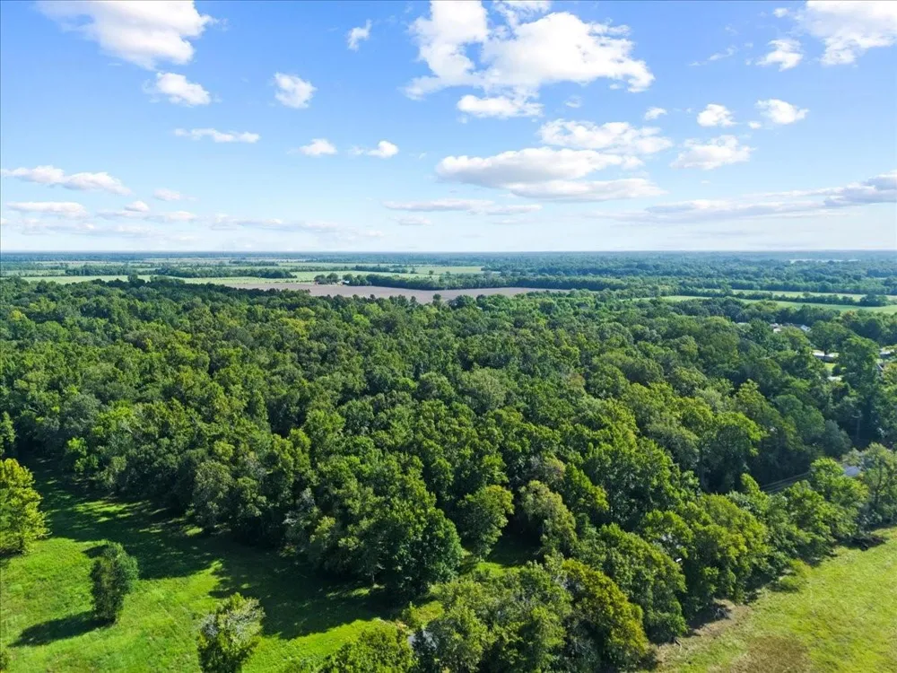 County Road 2068 Liberty, TX 77575