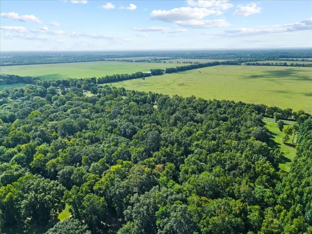 County Road 2068 Liberty, TX 77575