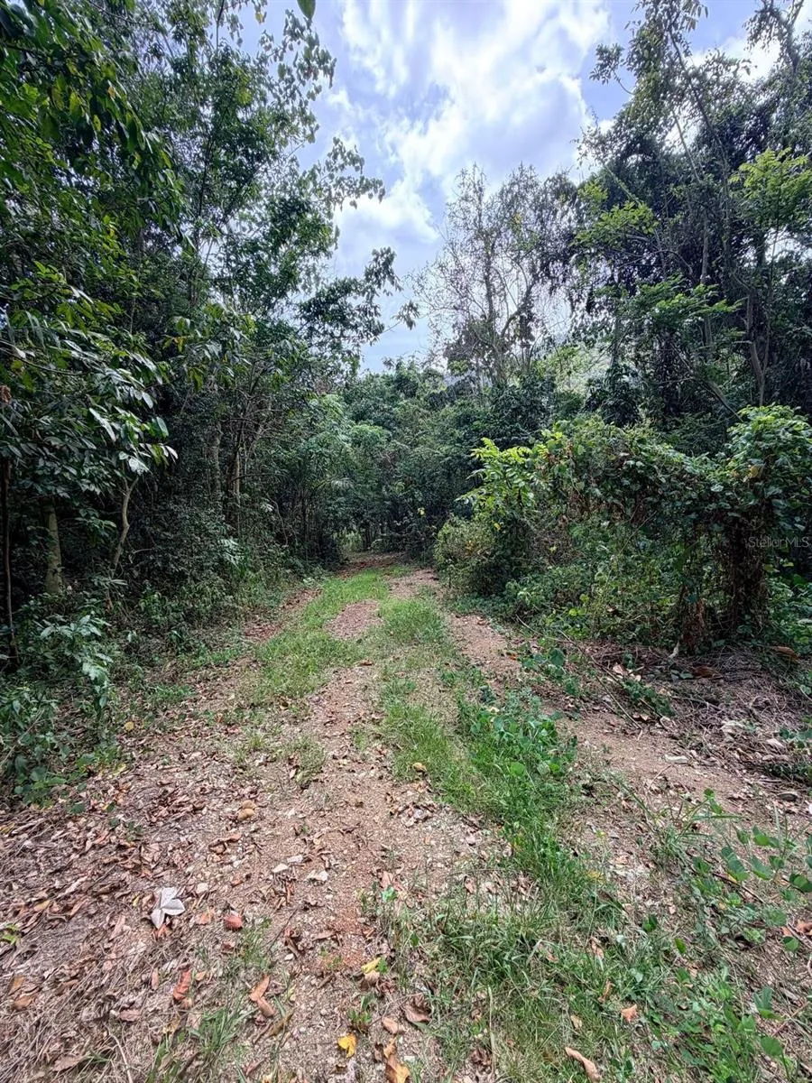 CARR 758 KM 2.7 BO LOS RIOS Patillas, PR 00723