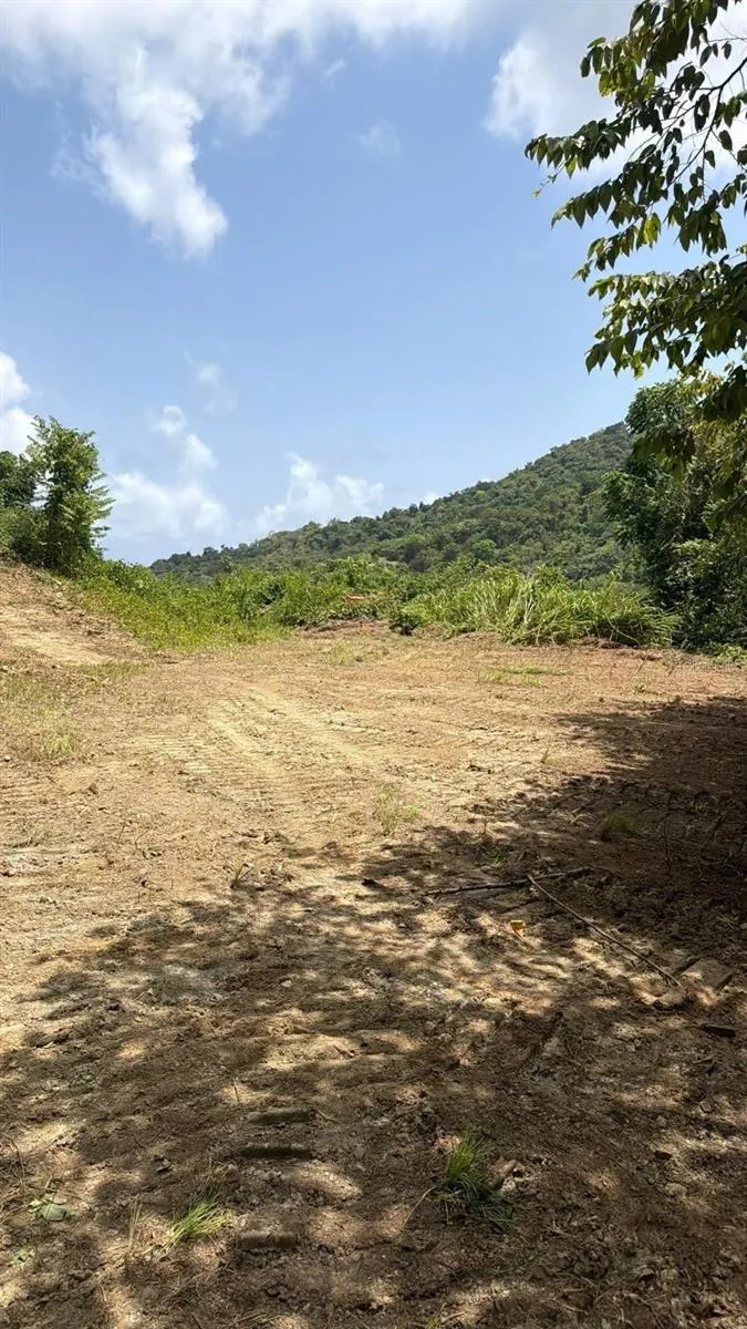 CARR 758 KM 2.7 BO LOS RIOS Patillas, PR 00723