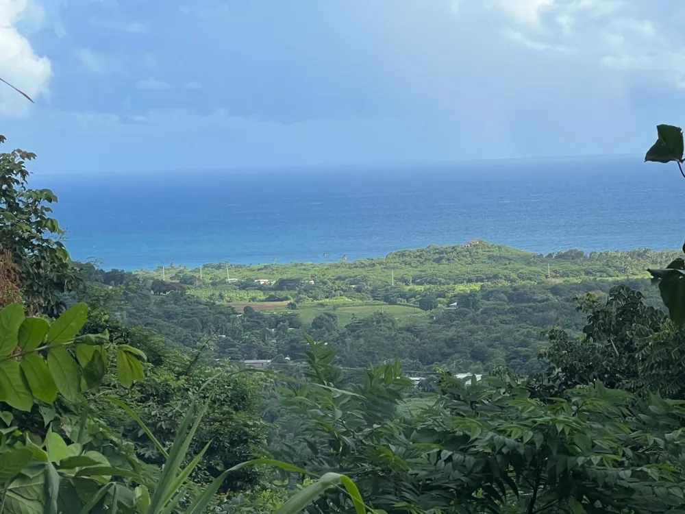 CARR 758 KM 2.7 BO LOS RIOS Patillas, PR 00723