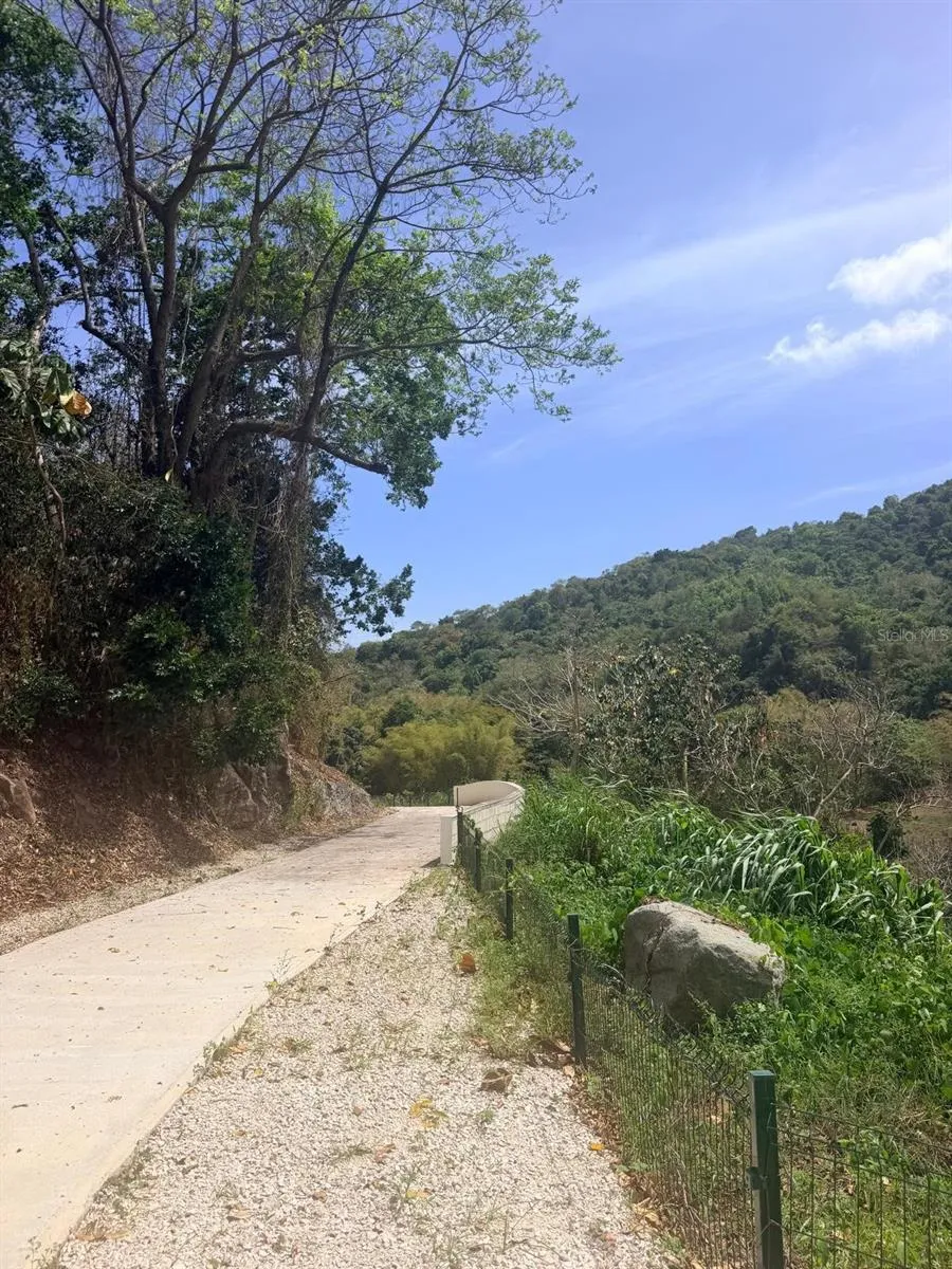 CARR 758 KM 2.7 BO LOS RIOS Patillas, PR 00723