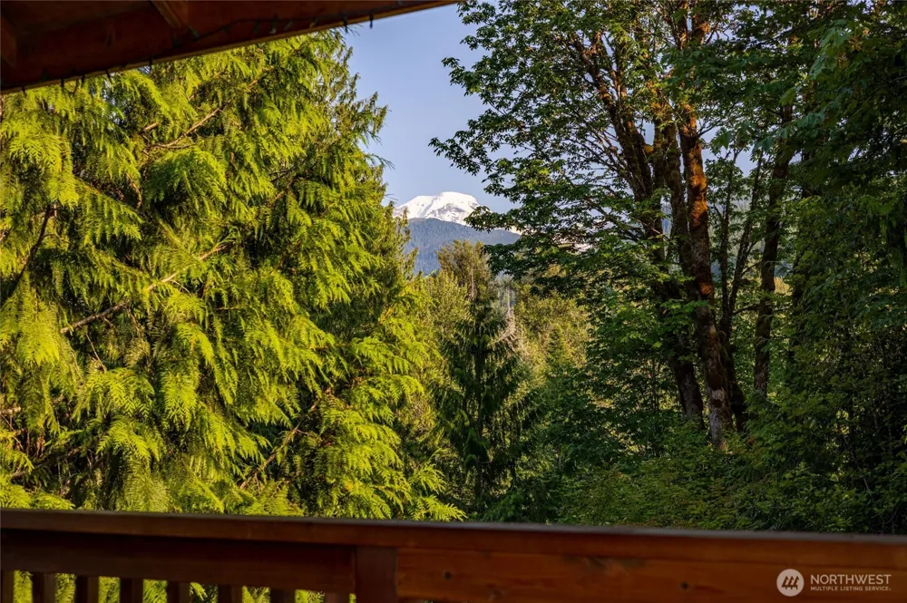 11062 Whistler Lane Deming, WA 98244