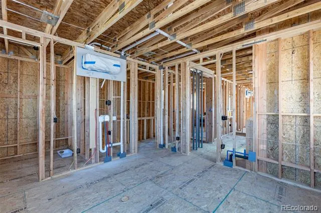 225 Harrison Avenue Buena Vista, CO 81211