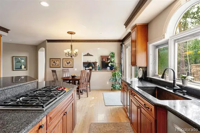 17507 Colonial Park Drive Monument, CO 80132