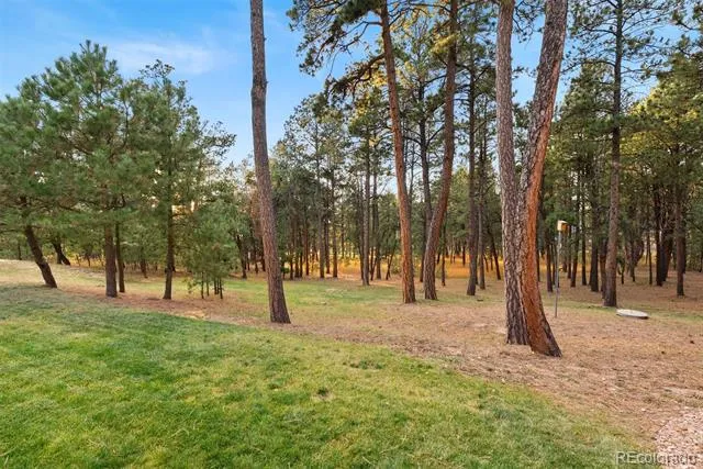 17507 Colonial Park Drive Monument, CO 80132