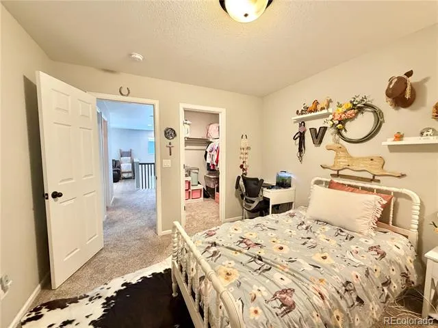 5378 Coltin Trail Castle Rock, CO 80104