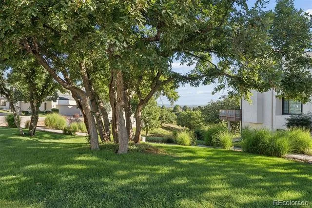 643 La Bourgade Point Colorado Springs, CO 80906