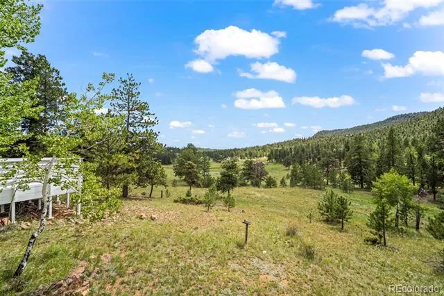 1231 Nova Road Pine, CO 80470