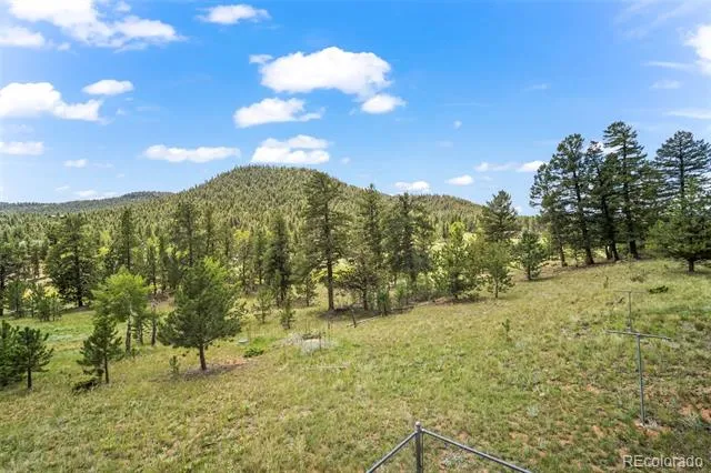 1231 Nova Road Pine, CO 80470